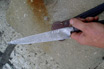 San Mai Damascus Criollo Knife