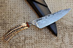 Cable Damascus and Stag Knife