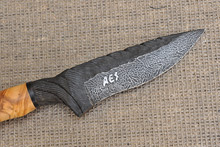 Black Cable Damascus and Olive Root Clip Point Knife