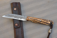 San Mai Damascus and Stag Wharncliffe Utility Knife