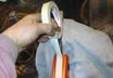 Knifemaking - Japanese San Mai Tanto - Wooden Sheath